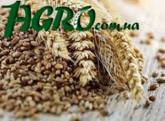 1agro.com.ua