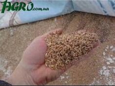 1agro.com.ua