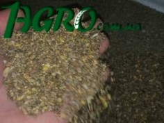 1agro.com.ua