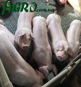 1agro.com.ua