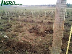 1agro.com.ua