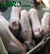 1agro.com.ua