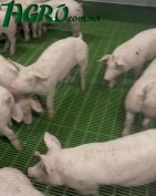 1agro.com.ua