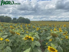 1agro.com.ua