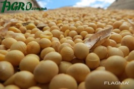 1agro.com.ua