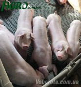 1agro.com.ua