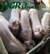 1agro.com.ua