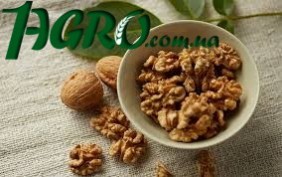 1agro.com.ua