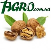 1agro.com.ua