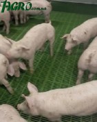 1agro.com.ua