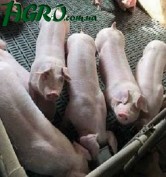 1agro.com.ua