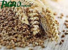 1agro.com.ua