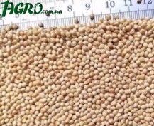 1agro.com.ua