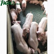 1agro.com.ua