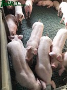1agro.com.ua