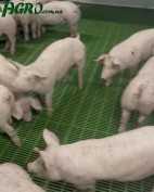 1agro.com.ua