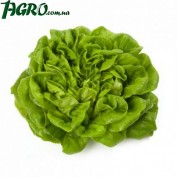 1agro.com.ua