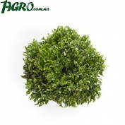 1agro.com.ua