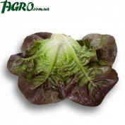 1agro.com.ua
