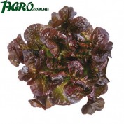 1agro.com.ua