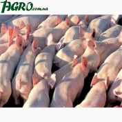 1agro.com.ua