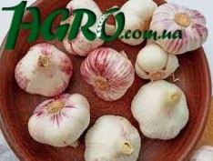 1agro.com.ua