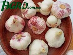 1agro.com.ua
