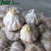 1agro.com.ua