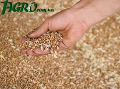 1agro.com.ua