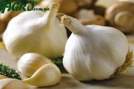 1agro.com.ua