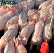 1agro.com.ua