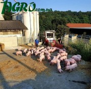 1agro.com.ua