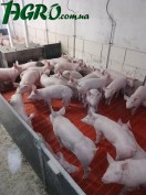 1agro.com.ua