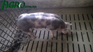 1agro.com.ua