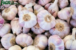 1agro.com.ua