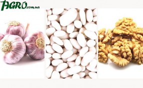 1agro.com.ua