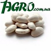 1agro.com.ua