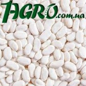 1agro.com.ua