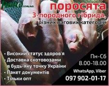 1agro.com.ua