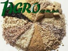 1agro.com.ua
