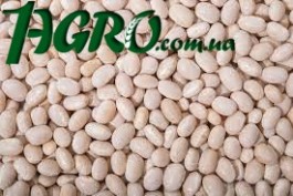 1agro.com.ua