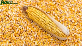 1agro.com.ua
