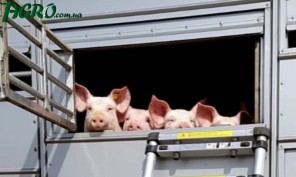 1agro.com.ua