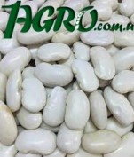 1agro.com.ua