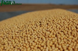 1agro.com.ua