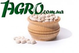 1agro.com.ua