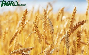 1agro.com.ua