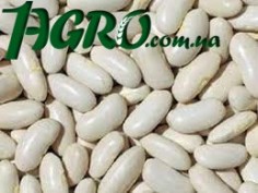 1agro.com.ua