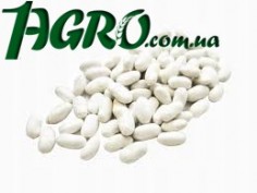 1agro.com.ua