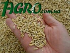 1agro.com.ua